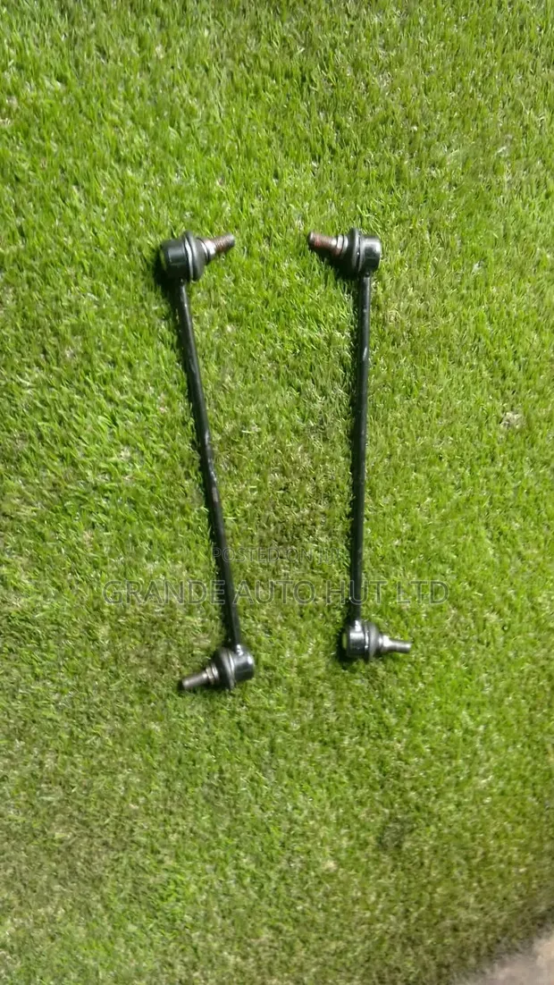 Hyundai Santa Fe Stabilizer Link - 1