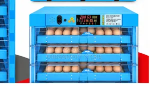 128 Egg Incubator AC/DC na Kidhibiti Joto