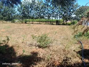 Kitalu cha 100x100 Kinauzwa Mwea Kiamanyeki