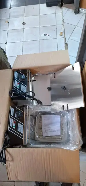 Commercial Double Fryer 12L