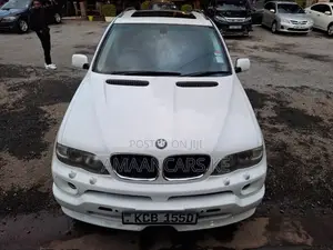 BMW X5 3.0i Sport 2007 Nyeupe