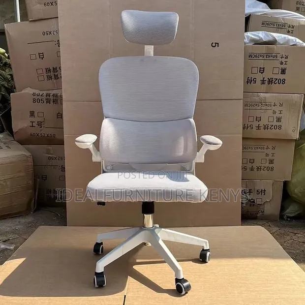 Kiti cha Ofisi cha Ergonomic - Kijivu Chenye Headrest - 1