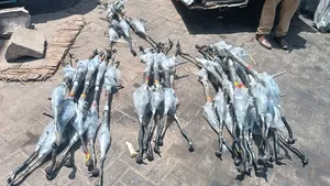 Used Toyota Probox Steering Rack