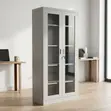 Full Glass Steel Office Cabinet - 2