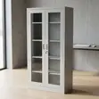 Full Glass Steel Office Cabinet - 4
