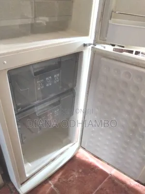 Friji la Bosch la Freezer Chini