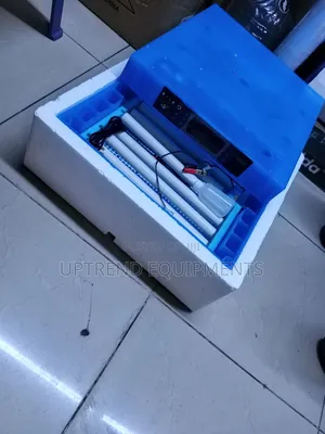 64 Mayai Incubator ya Kiotomatiki