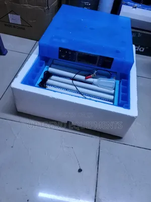 Fully Automatic Egg Incubator / 64 Eggs