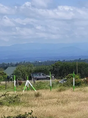 Kitalu cha 50x100 kwa Uuzaji Thegu River