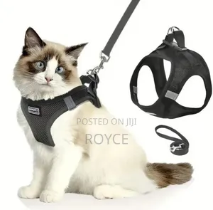 No Pull Cat Harness and Leash Set