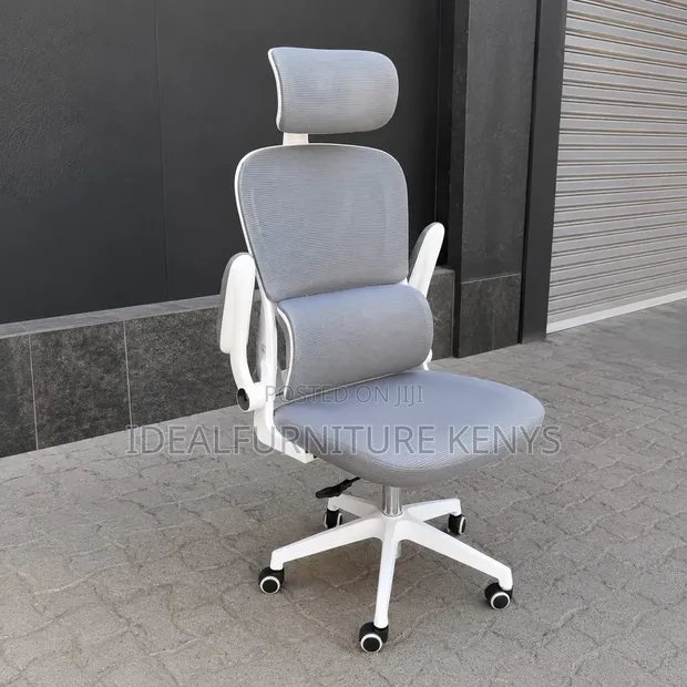 Kiti cha Ofisi cha Grey chenye Msaada wa Kichwa - 1