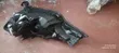 Honda Fit 2015 Xenon Headlight (Iliyo tumika) - 2