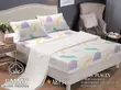 Premium Cotton Printed Bedsheet Set (Queen/King) - 2