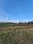 Half Acre Plot for Sale - Eastern Bypass, Ruai - 4