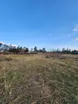 Half Acre Plot for Sale - Eastern Bypass, Ruai - 5