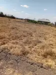 Residential Land for Sale in Matungulu East - 2
