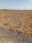 Residential Land for Sale in Matungulu East - 4