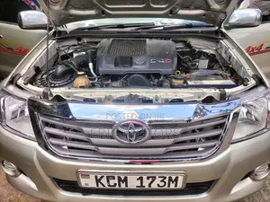 Toyota Hilux 2010 Double Cab Brown