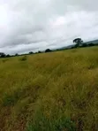 Eka 500 za Kilimo kwa Kukodisha Kando ya Mto Athi, Makueni - 2