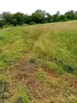 Eka 500 za Kilimo kwa Kukodisha Kando ya Mto Athi, Makueni - 3