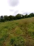 Eka 500 za Kilimo kwa Kukodisha Kando ya Mto Athi, Makueni - 4