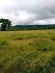 Eka 500 za Kilimo kwa Kukodisha Kando ya Mto Athi, Makueni - 5