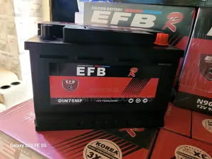 Betri ya Gari ya EFB DIN 75 Isiyohitaji Matengenezo