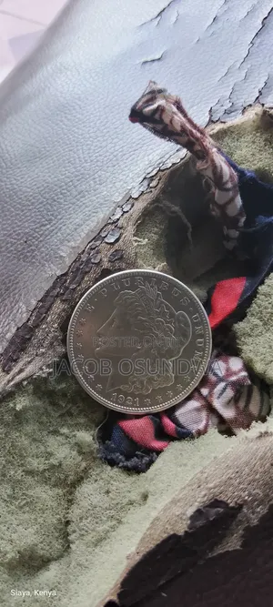 1921 Dola ya Fedha ya Morgan ya Marekani - Mkusanyiko Adimu wa Kale