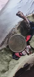1921 Dola ya Fedha ya Morgan ya Marekani - Mkusanyiko Adimu wa Kale - 1