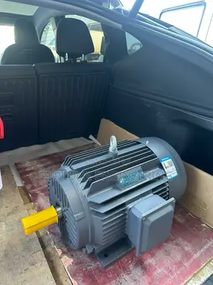 30HP Three Phase Induction Motor