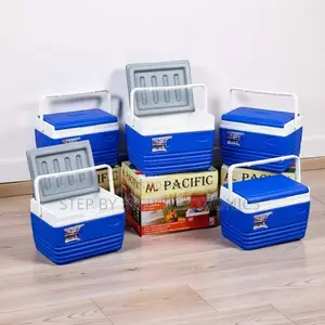 Brand New 4.5L Portable Cooler Box Ice Box