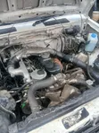 Nissan Pick-Up 2.5D 1998 White - 5
