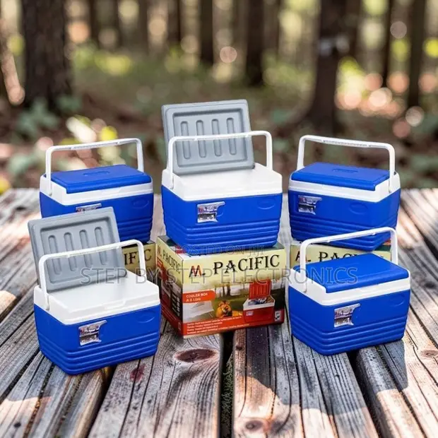 4.5L Portable Cooler Box Ice Box - 1
