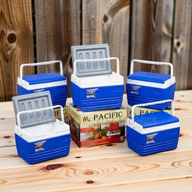 4.5L Portable Cooler Box Ice Box - 1