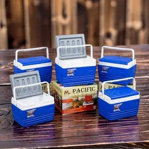 4.5L Portable Cooler Box Ice Box Chillers