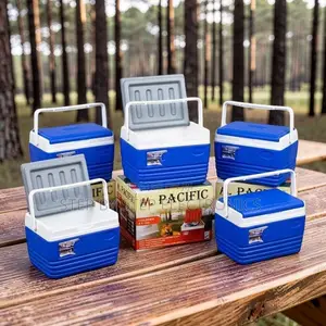Portable 4.5L Cooler Box Ice Box