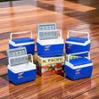 Portable 4.5L Cooler Box Ice Box - 2