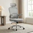 Kiti cha Ofisi cha Mesh chenye Mgongo Mrefu cha Ergonomic - 1