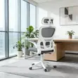 Kiti cha Ofisi cha Mesh chenye Mgongo Mrefu cha Ergonomic - 3