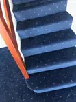 Carpet ya Ukuta kwa Ukuta ya Maua ya Bluu ya Presidential - 1
