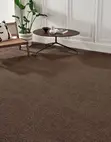 Brown & Blue Modern Delta Wall-to-Wall Carpets - 1
