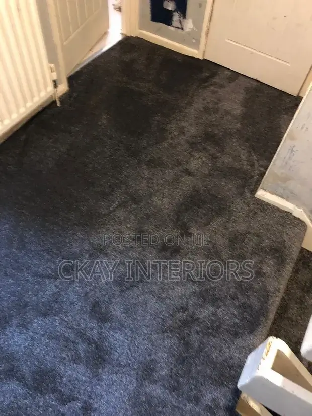 Premium Wall-to-Wall Carpets - 1