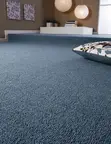 Delta Wall to Wall Carpets - Various Colors & Thicknesses - 2