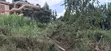 Prime 1.5 Acres for Sale - Kabete Kibichiku, Kiambu - 5