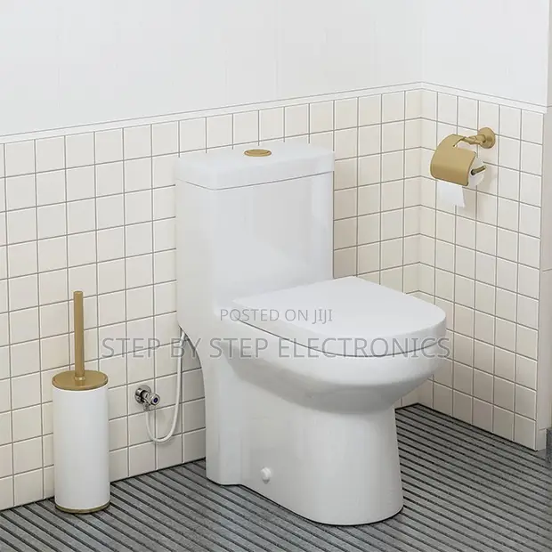 Sawa One Piece Dual Flush Toilet Seat - 1