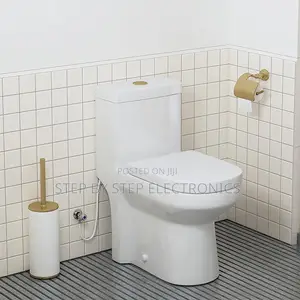 Sawa One Piece Dual Flush Toilet Seat