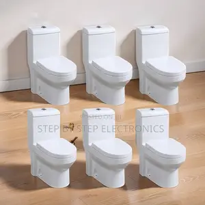 Sawa One Piece Dual Flush Toilet Seat