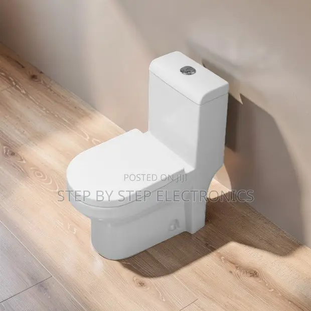 Sawa One Piece Dual Flush Toilet Seat - 1