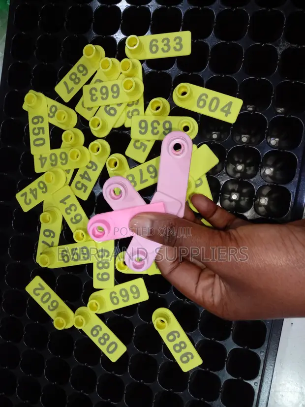 Complete Slim Ear Tag - Brand New - 1