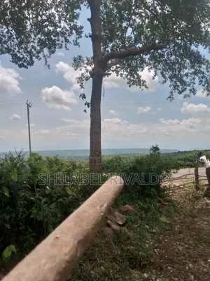 Prime Plot for Sale in Sigowet
